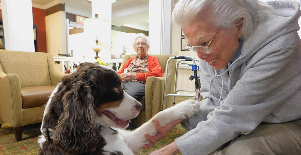 Pets help with Therapy at Morning Pointe Pets help with Therapy at Morning Pointe