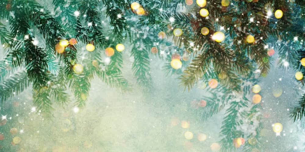 Morning Pointe to Host “Christmas at the Pointe”