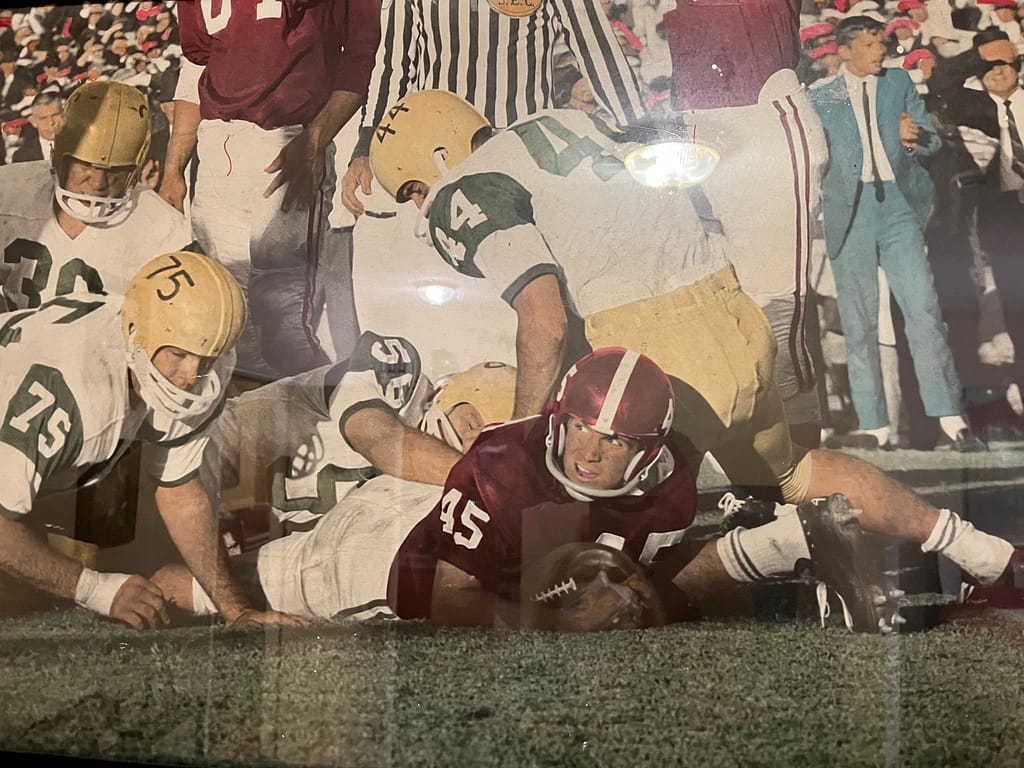 photo of Cotton on the field