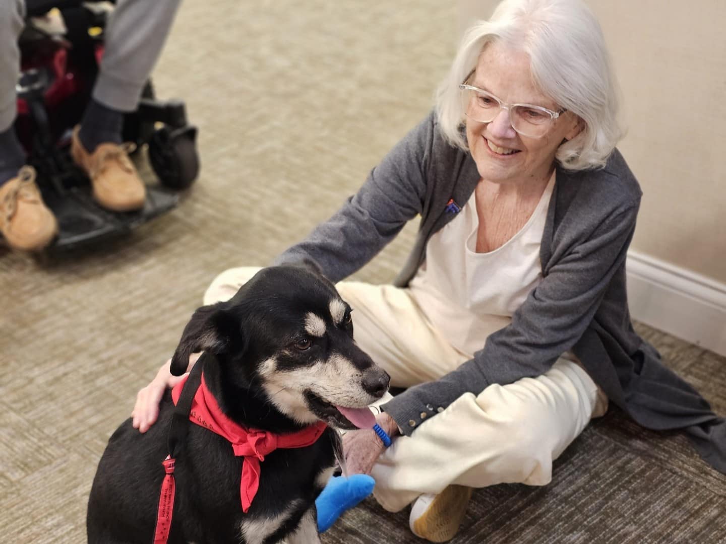 photo of dog in pet therapy