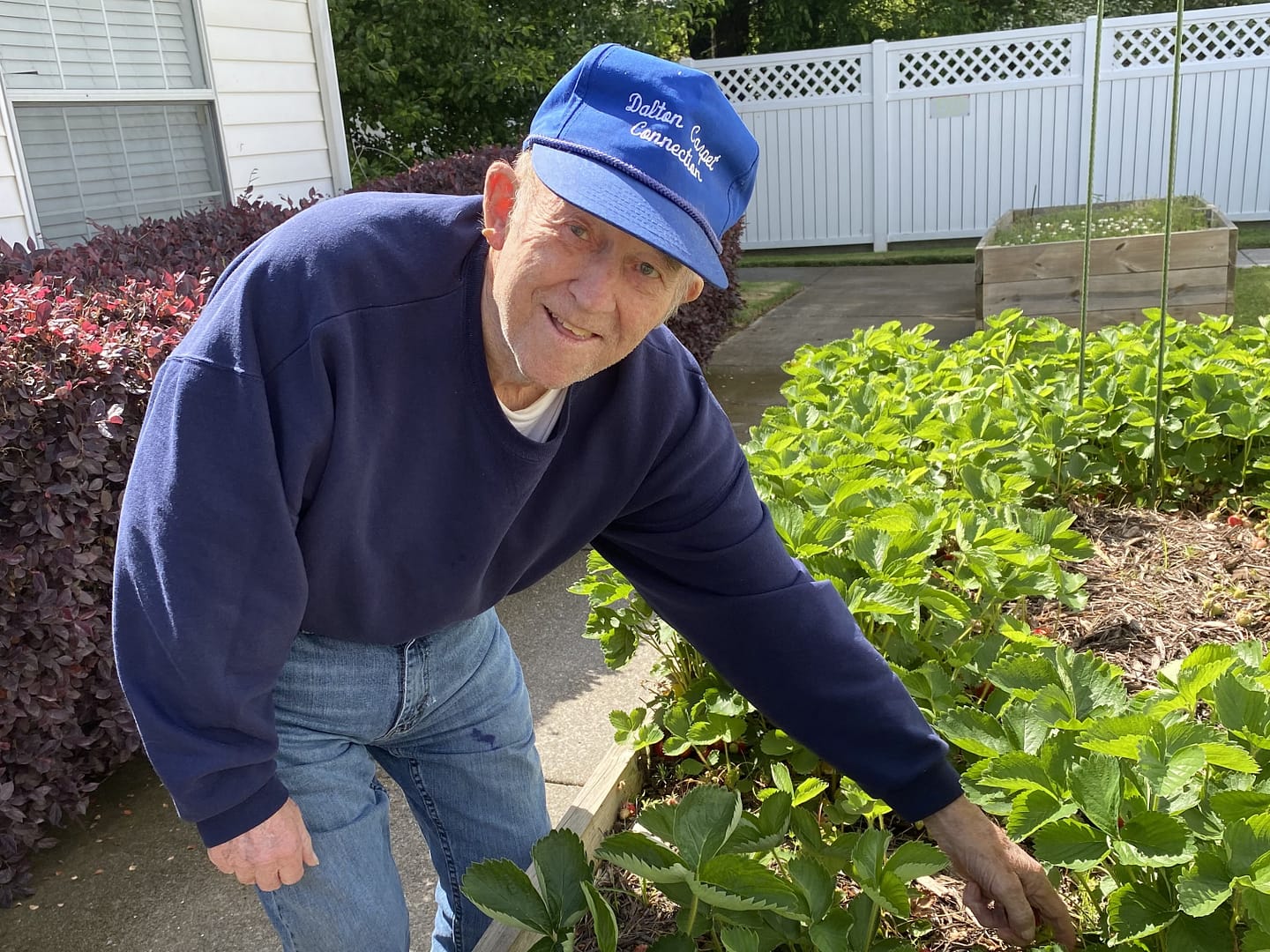 photo of Calhoun resident picking strawberries in the courtyard