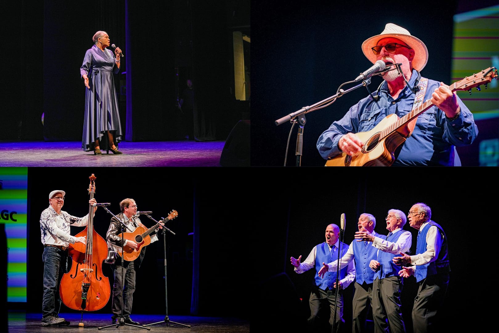 Collage of 2024 Lexington Seniors Got Talent winners