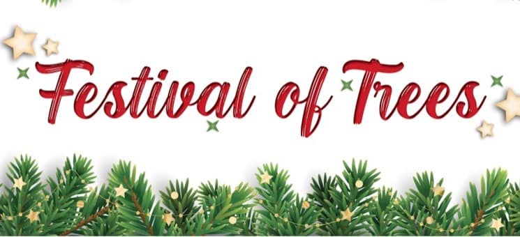Festival of Trees 2024 image