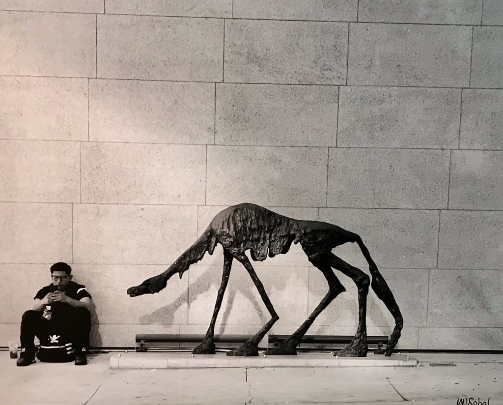 Dr. Sobel's award-winning photo of a sculpture and a man eating lunch