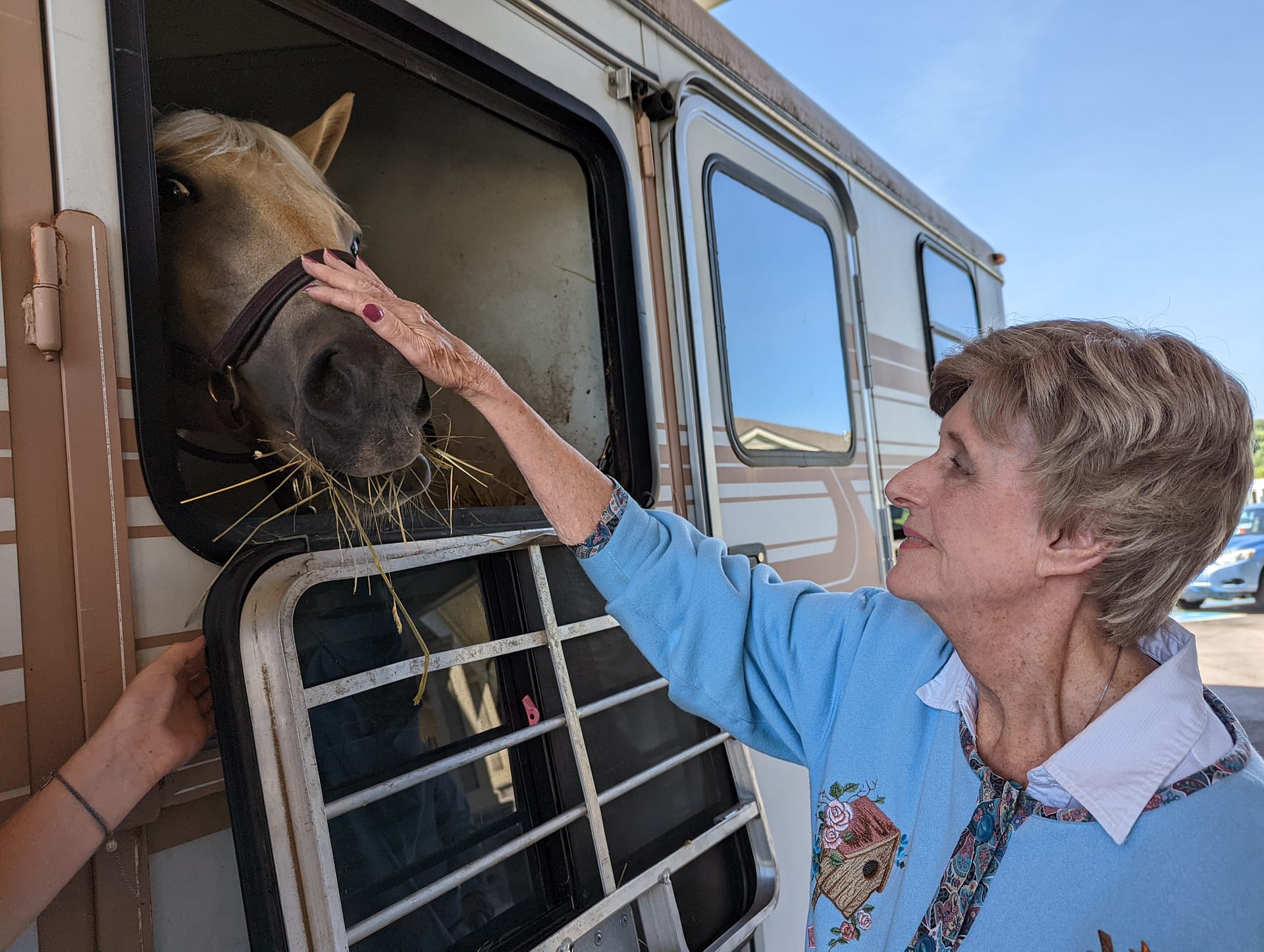 Photo of Sandra petting a horse