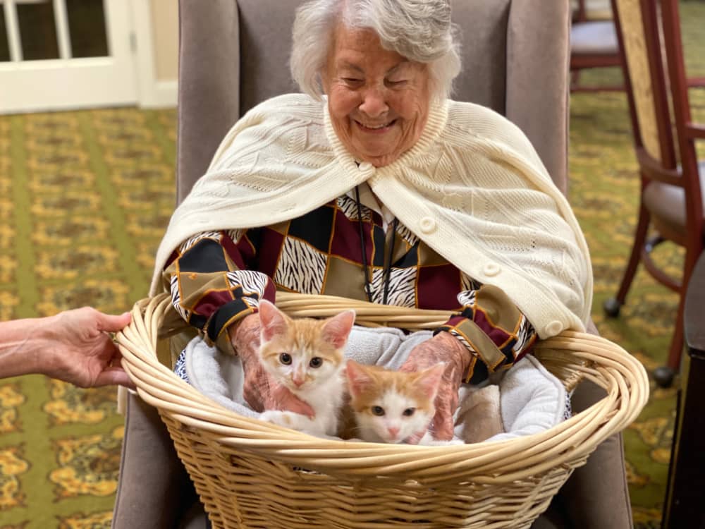 Senior woman at Morning Pointe Senior Living in Powell, Tennessee holding a basket of cats