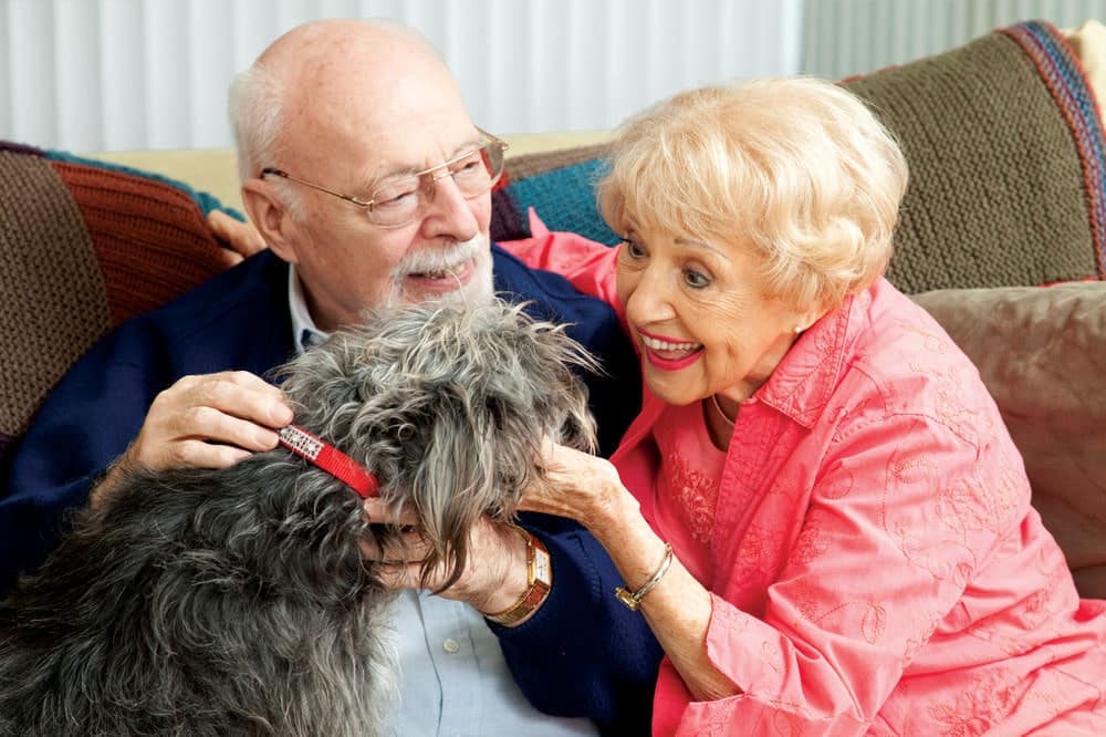Senior couple in assisted living petting a dog